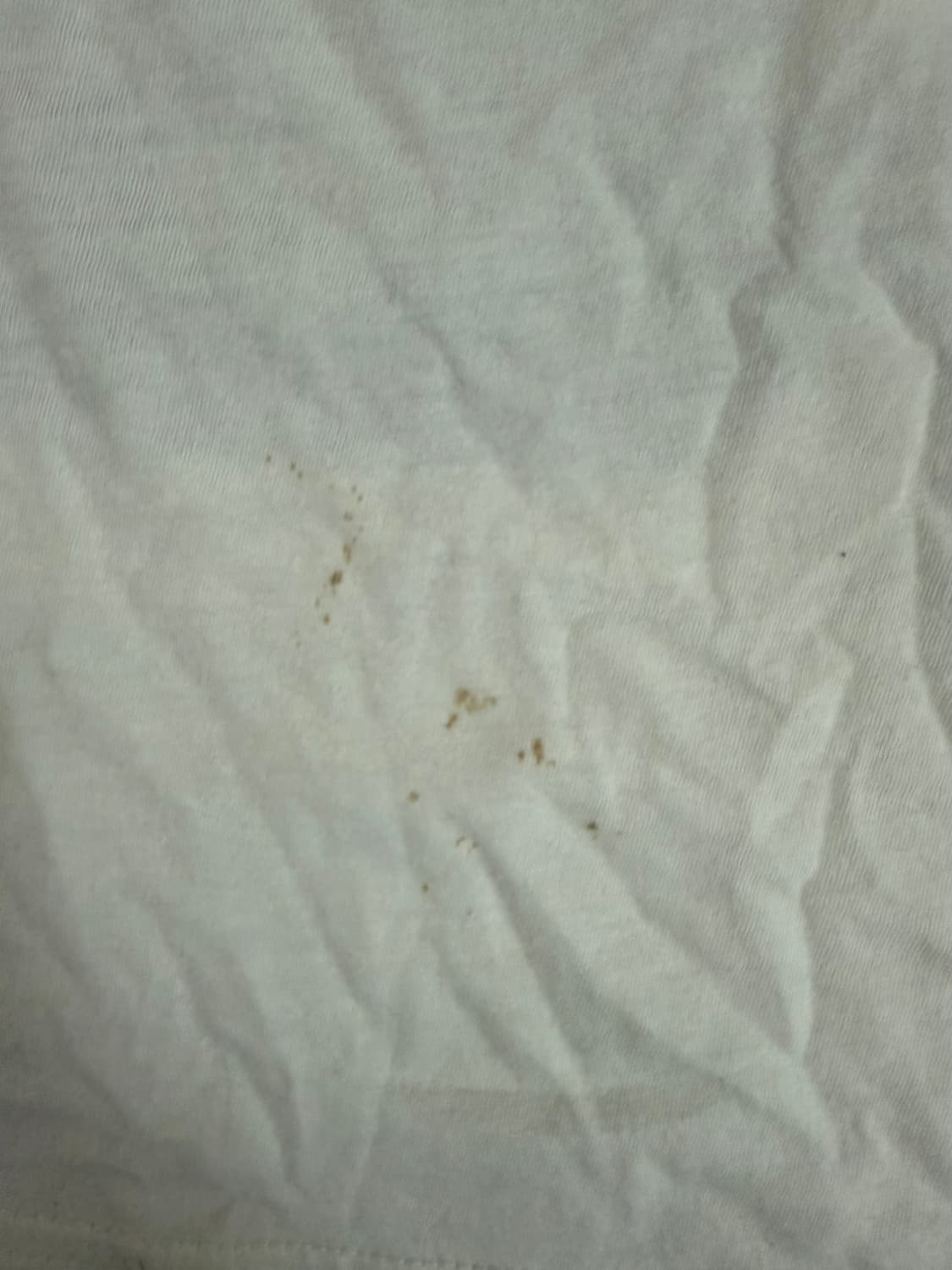 히스테릭 글래머 06빈티지 티셔츠 상품이미지4