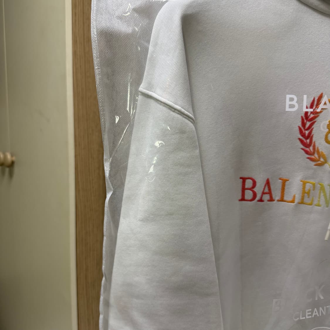 발렌시아가 레인보우 월계수 오버핏 후드티 상품이미지5