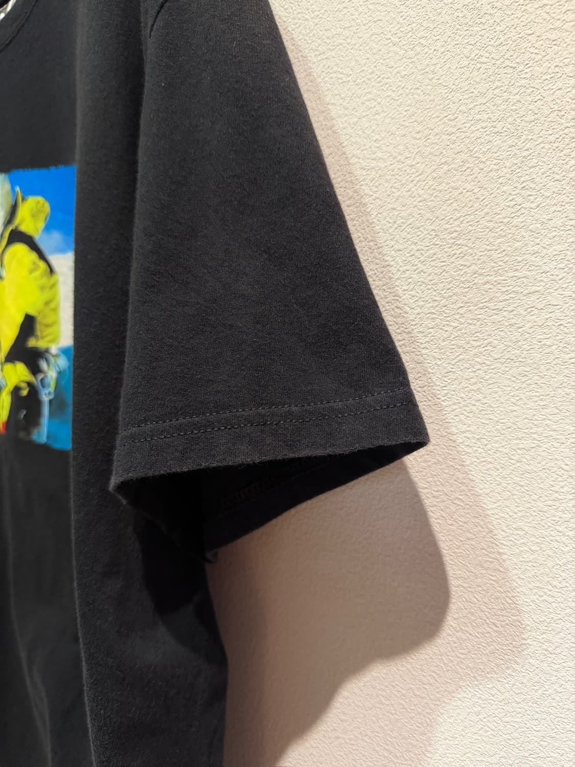 Supreme x The North Face Expedition Tee 상품이미지4