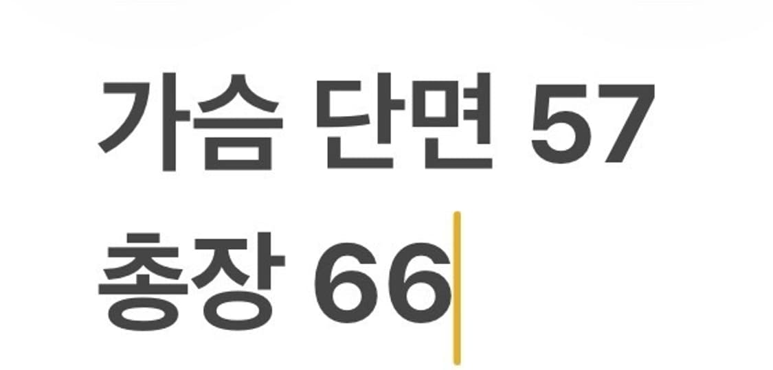 [정품/L] 노스페이스 써밋 패딩 버건디 b13 상품이미지8