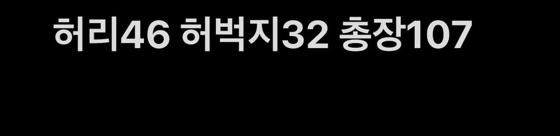 브라운브레스 페이즐리 팬츠 상품이미지6