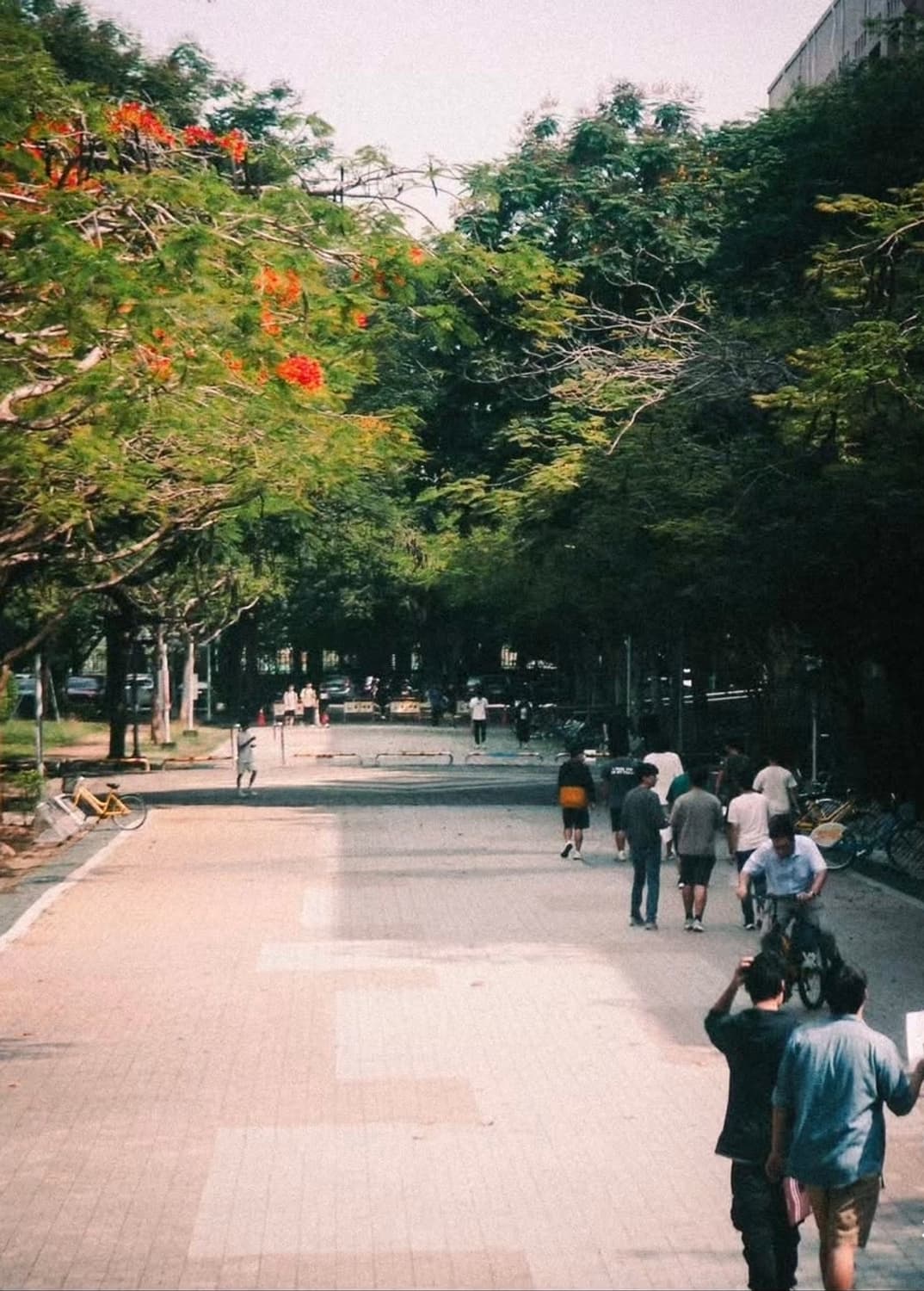 감성샷 최고🥹 ❣️minolta dimage Xg 🍒 상품이미지6