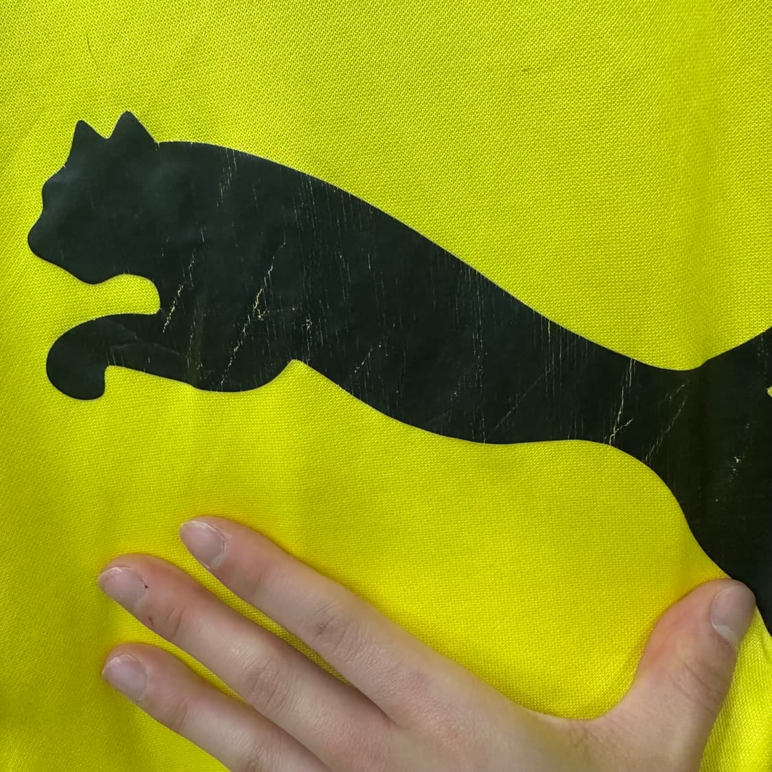 퓨마 도르트문트 반집업 져지 상품이미지8