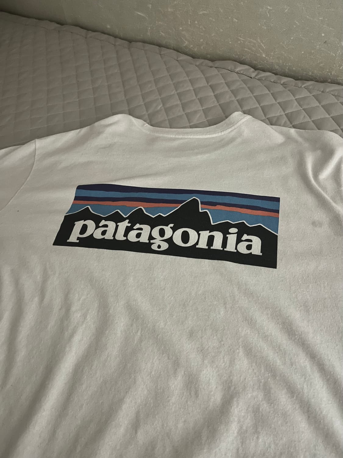 파타고니아 긴팔티 라지 상품이미지1