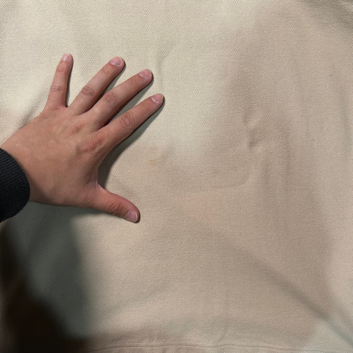 [L] 챕스 랄프로렌 월계수 로고 카라 반팔 상품이미지4