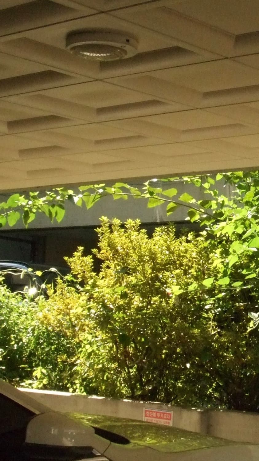 후지필름 파인픽스 z5fd (작례 o, 뉴진스 민지 디카) 상품이미지5