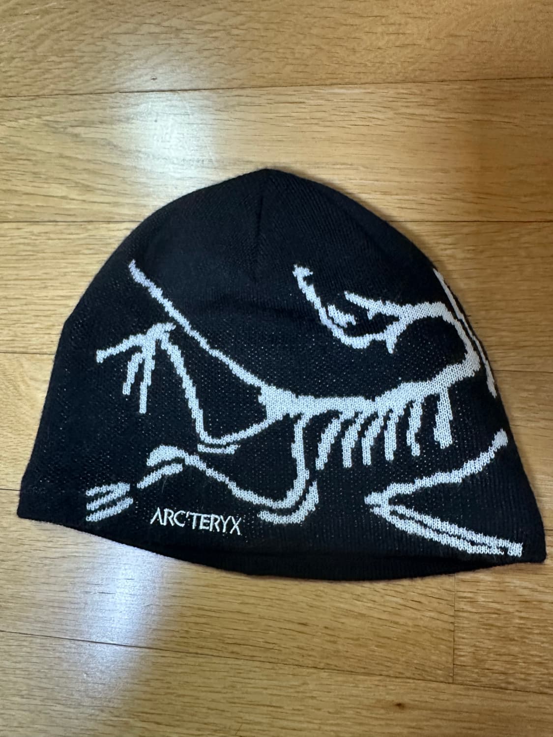 아크테릭스 비니 상품이미지1