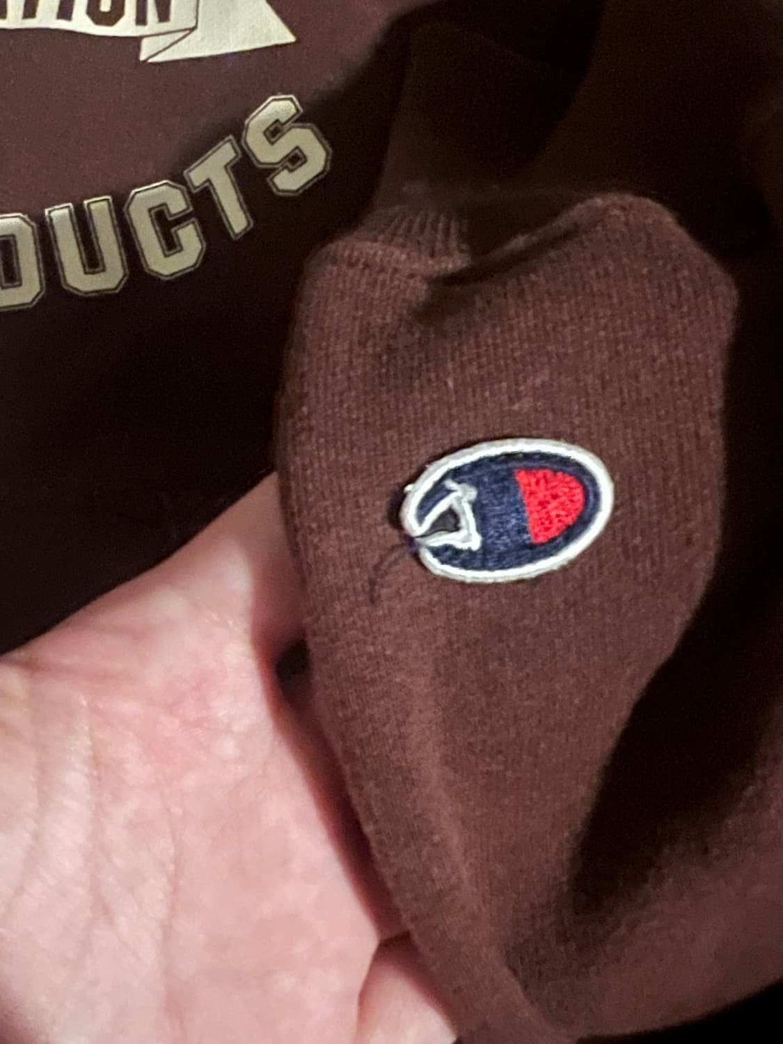 Champion vintage hoddie 챔피온 빈티지 후드티 상품이미지4