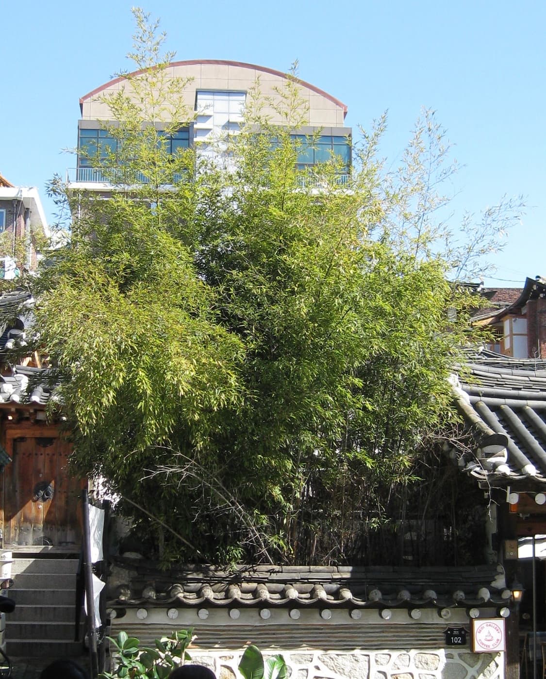 [작례O]캐논 익서스20IS (ixy20is) 브라운 상품이미지7