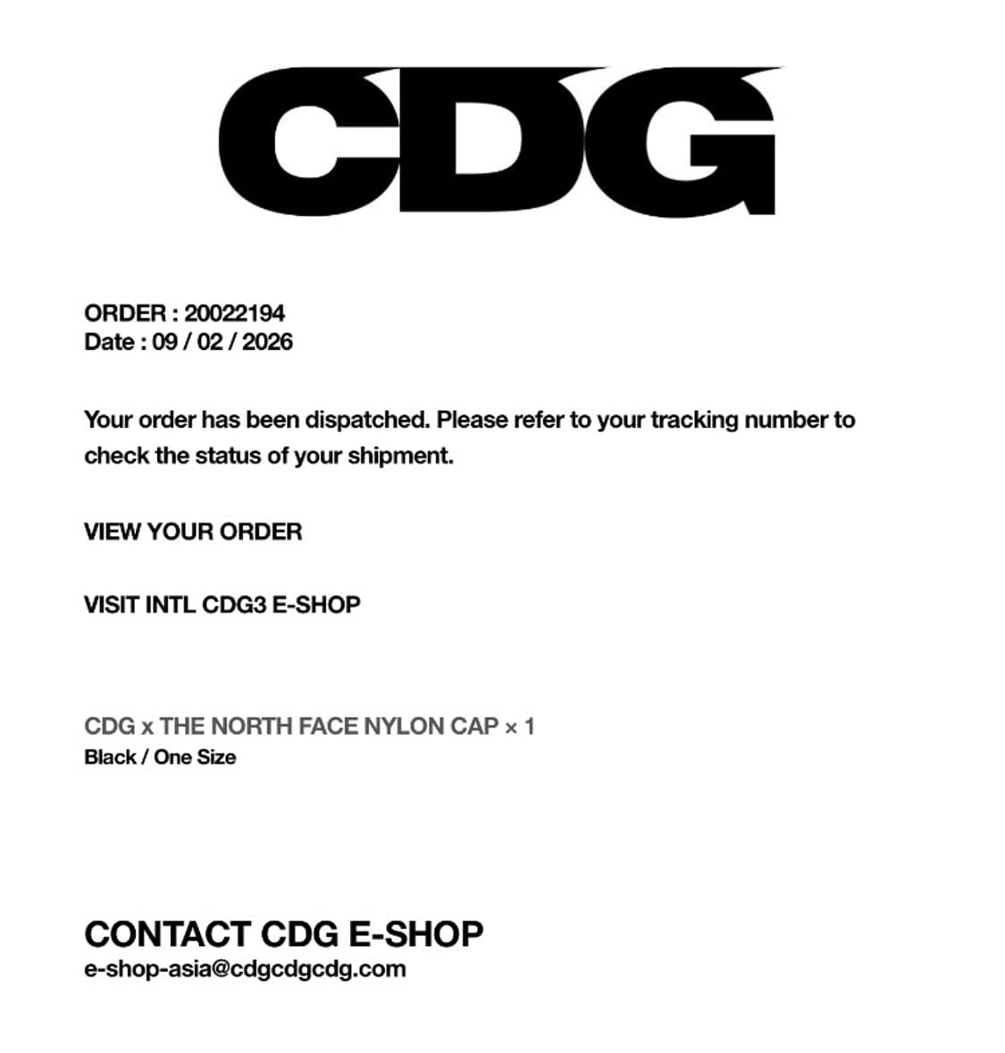 CDG x 노스페이스 햇 TNF 블랙 상품이미지4