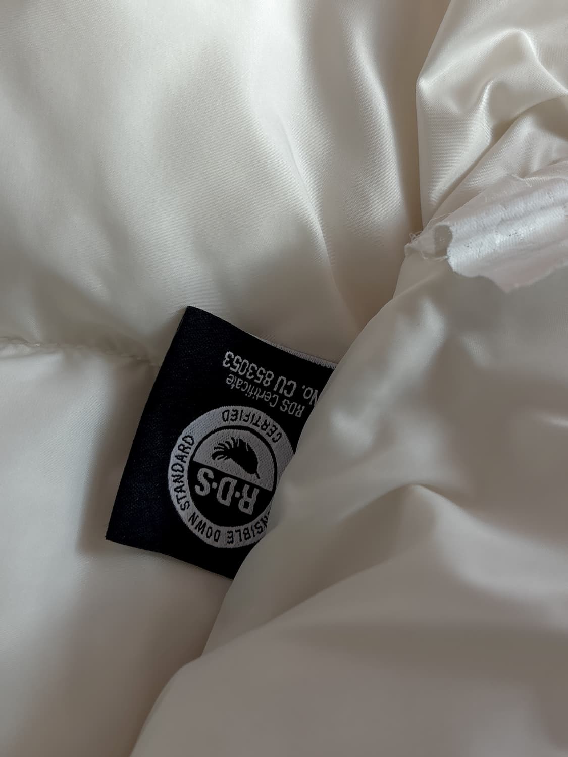 노스페이스 눕시 하이브리드 다운 볼 자켓 아이보리 (W) 상품이미지5