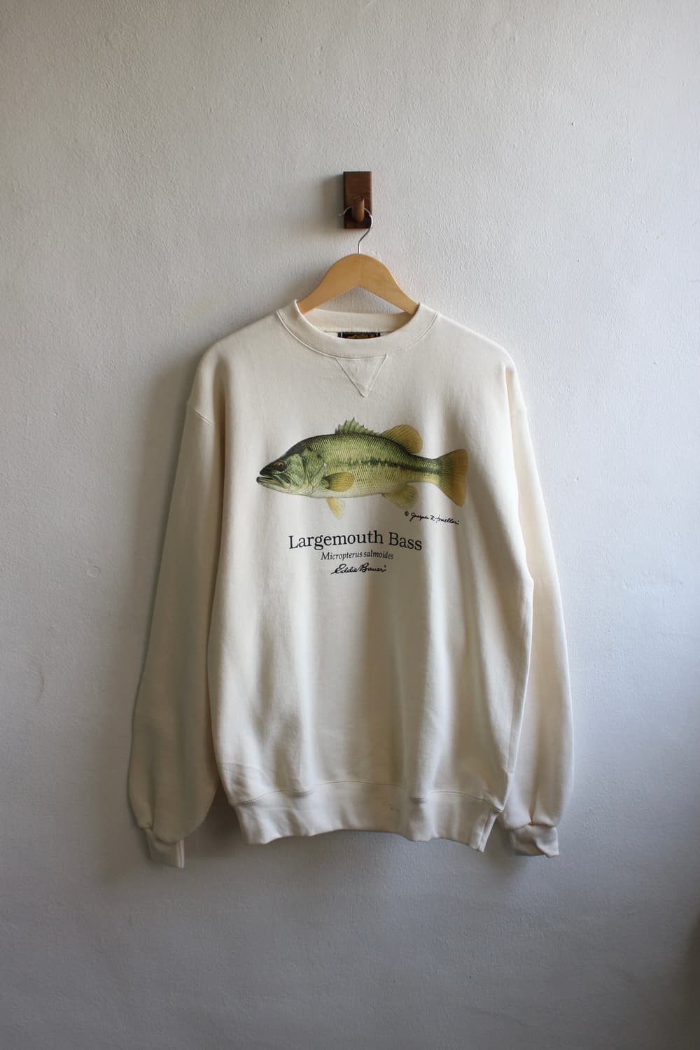 lot of 3 bunddle  상품이미지3