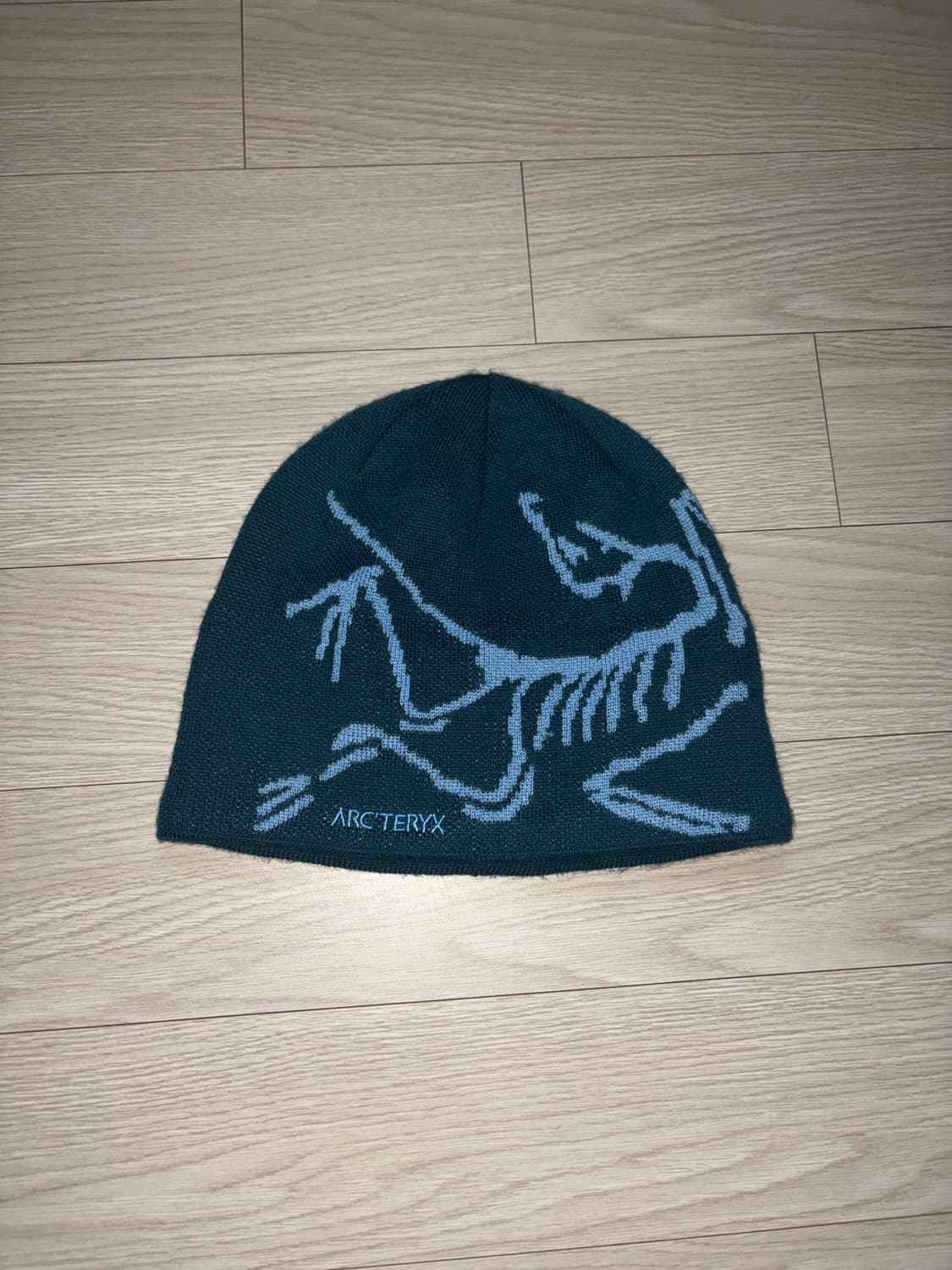 아크테릭스 버드 헤드 토크 나이트스케이프 글레이셔 상품이미지1