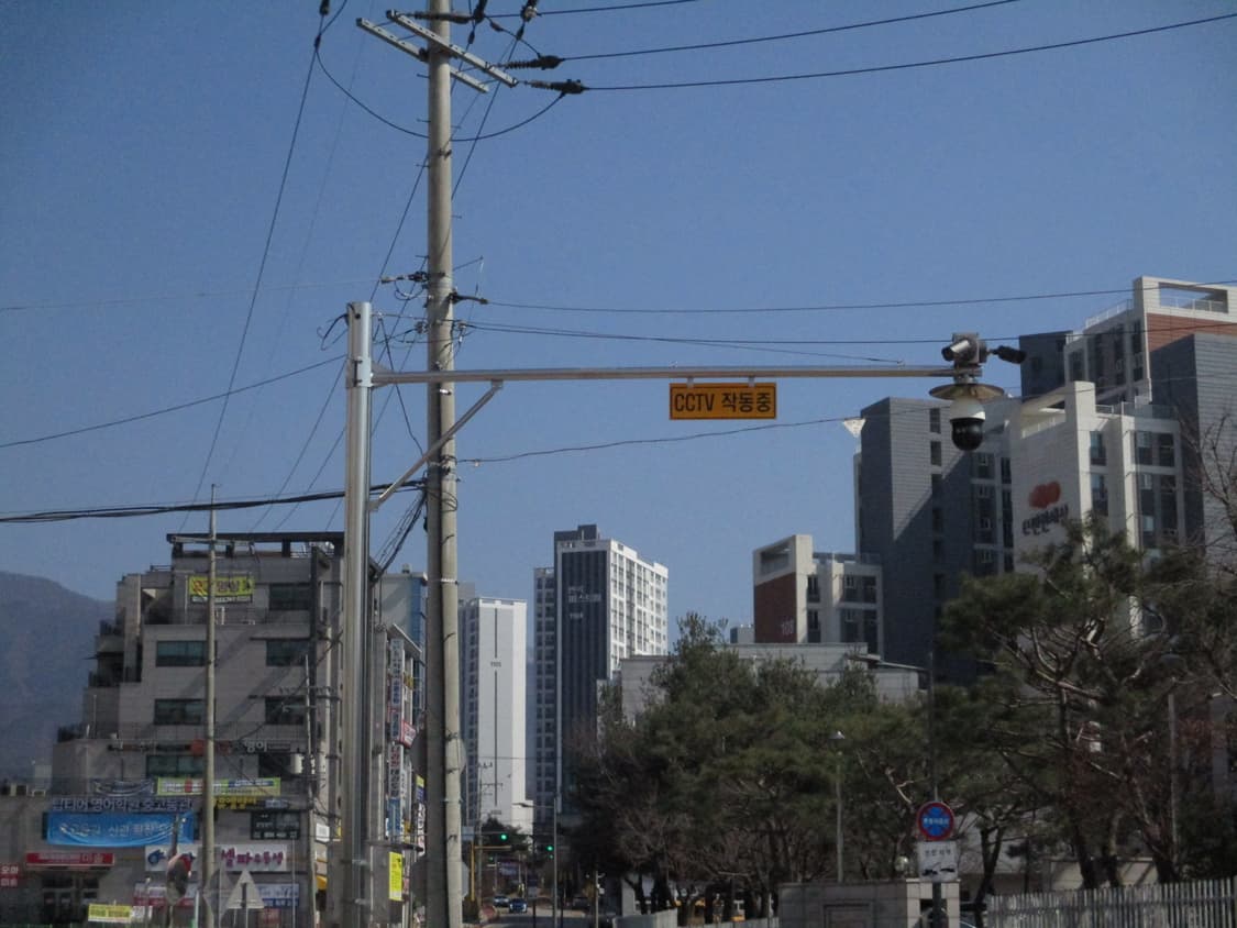 작례⭕️ 캐논 익서스 175 새상품급 판매( 풀박스) 상품이미지8