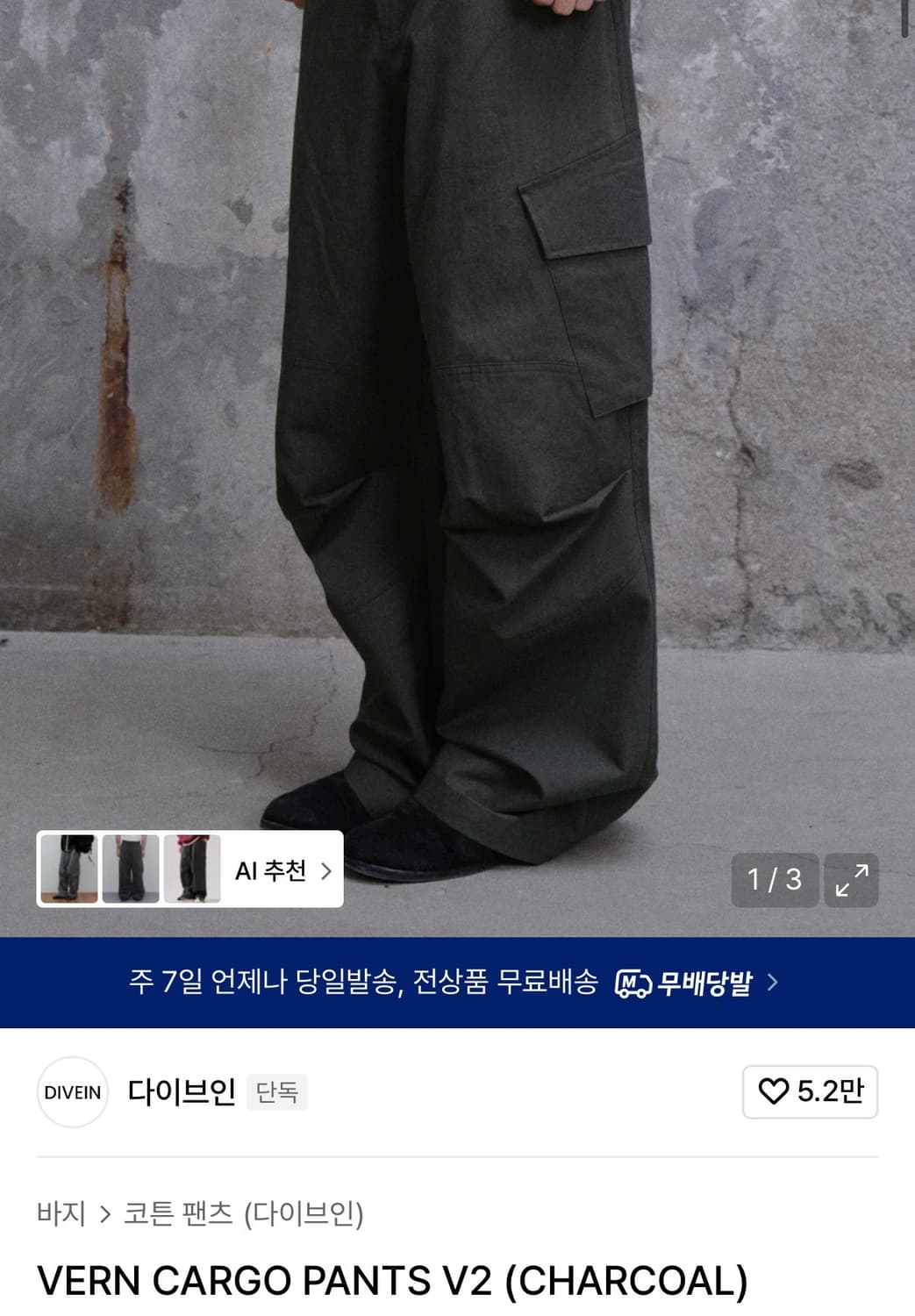 다이브인 vern cargo pants v2 (charcoal) 상품이미지4