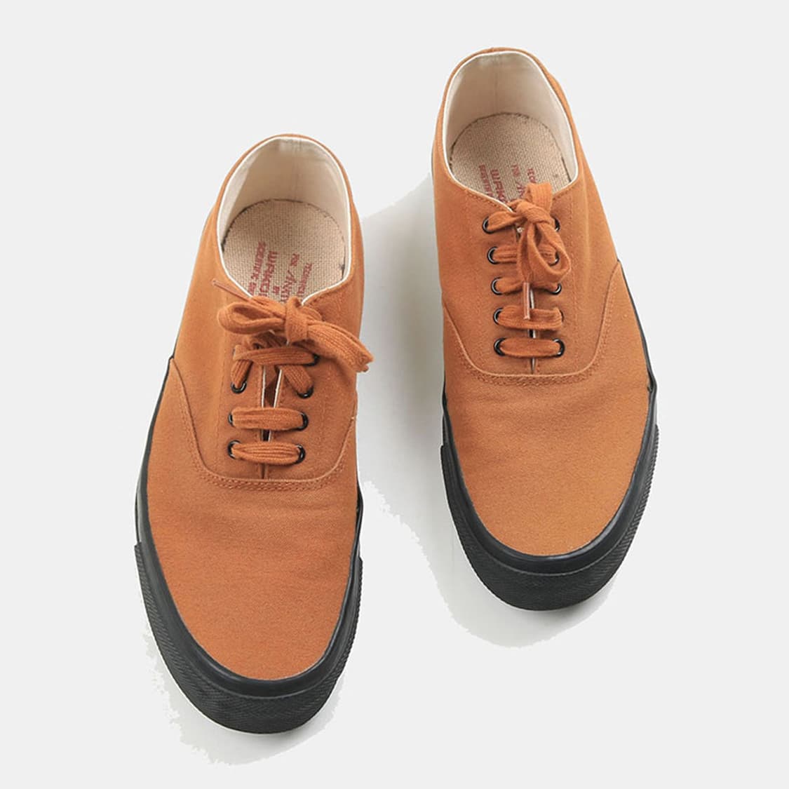 ANATOMICA 상품이미지2