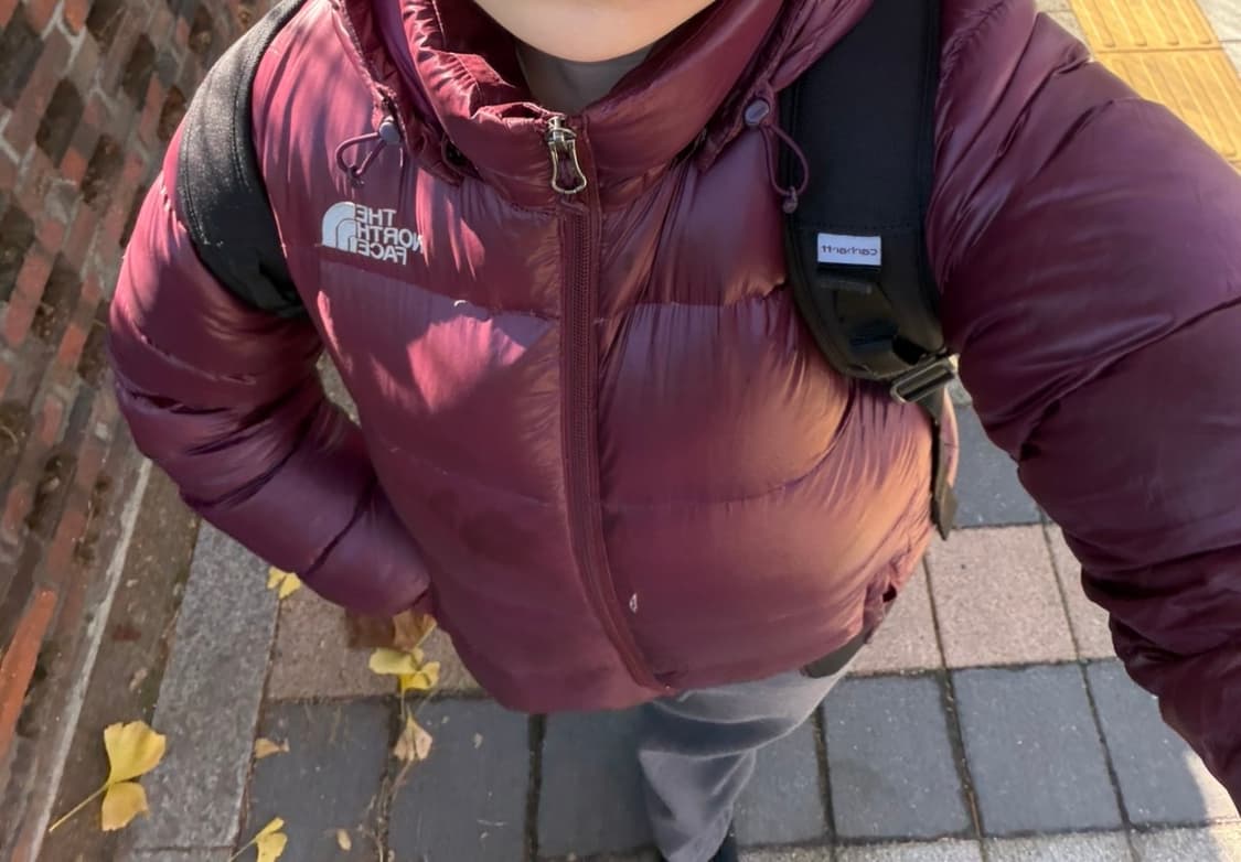 노스페이스 눕시 패딩 버건디 상품이미지2