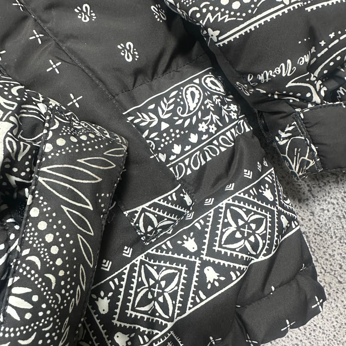 ✨ (바배) 노스페이스 반다나 페이즐리 눕시 패딩  상품이미지5