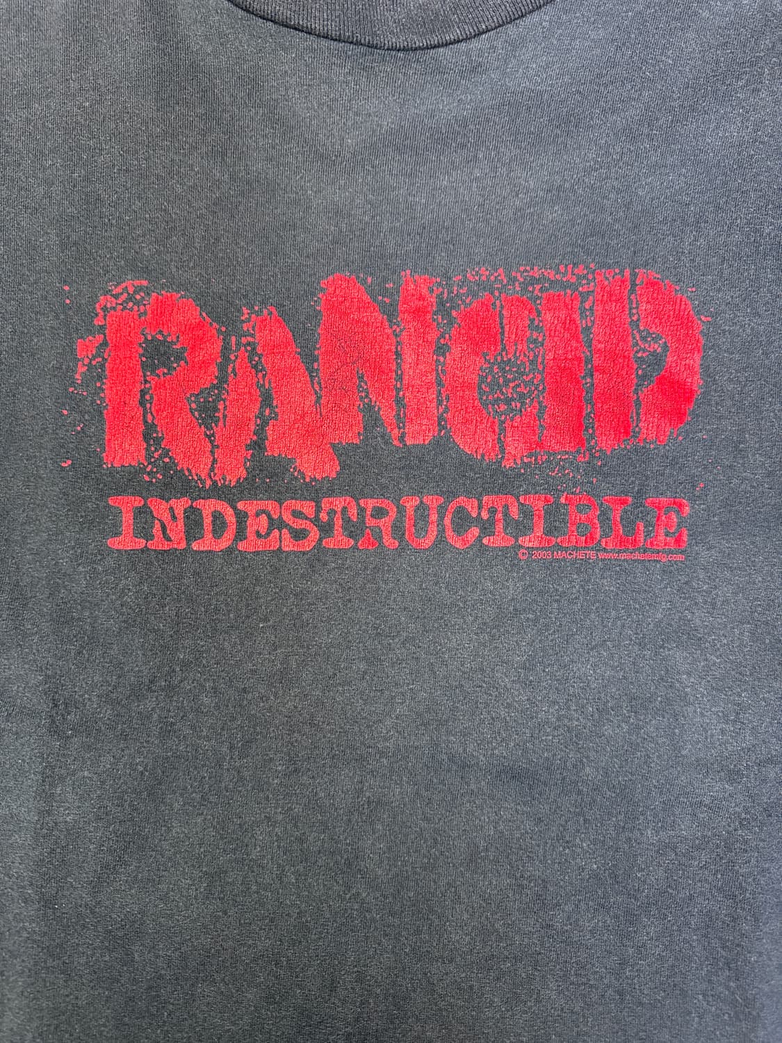 빈티지 00s 랜시드 RANCID INDESTRUCTIBLE 티셔츠 L 상품이미지2