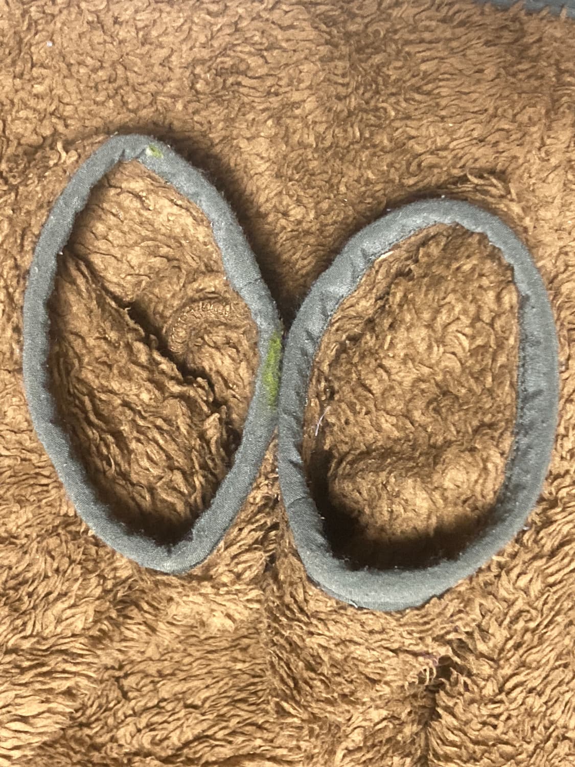 파타고니아 로스가토스 크루 M 상품이미지6