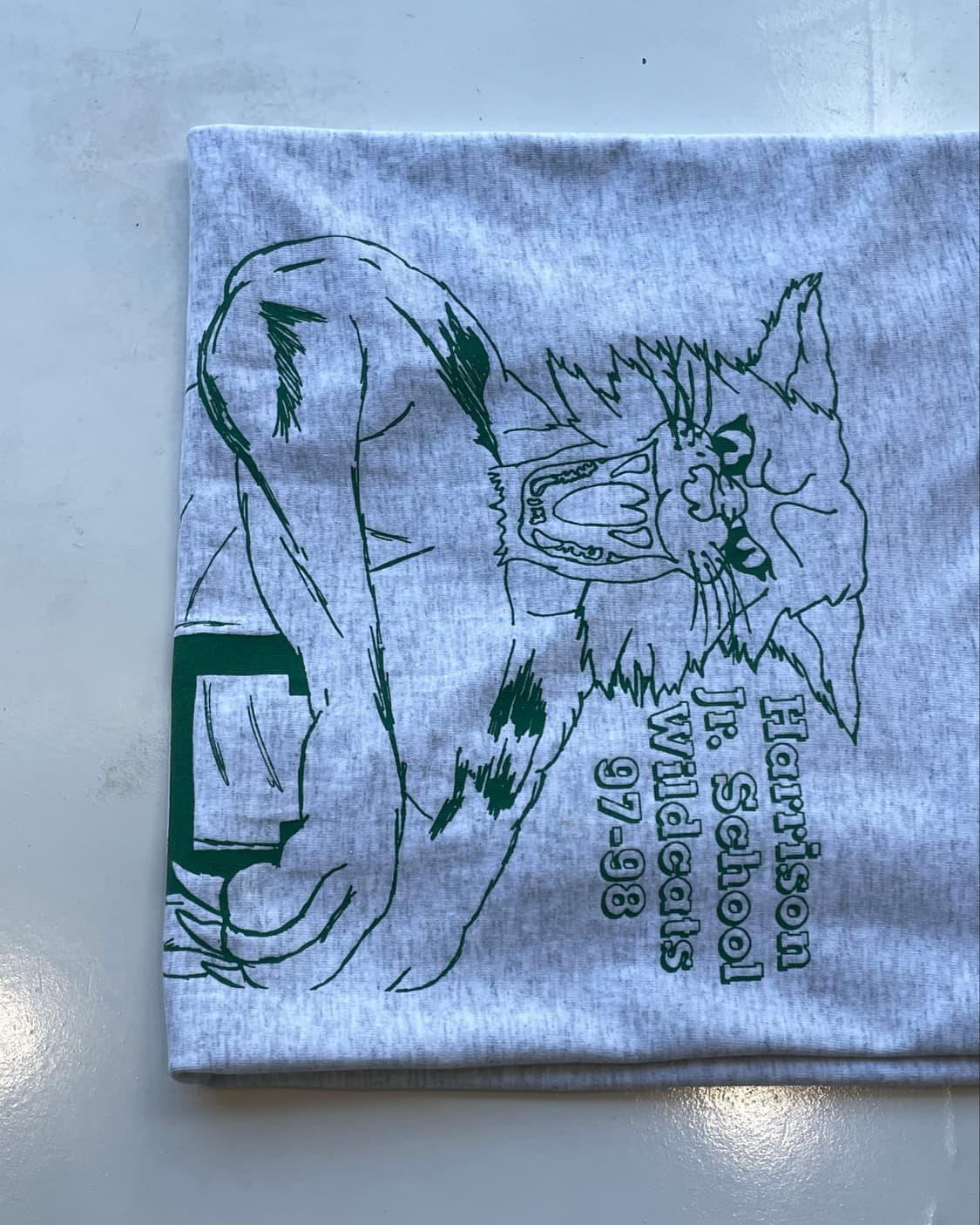 90’s USA ‘Wild Cats’ School T-shirt L 상품이미지9