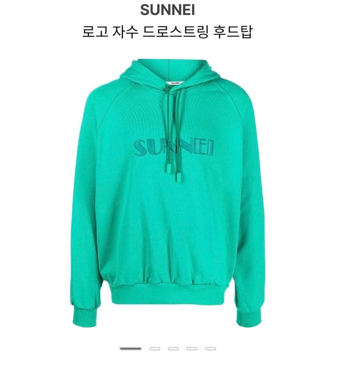 [써네이] 빅로고 후드티 _ S size (펀 그린 컬러) 상품이미지1