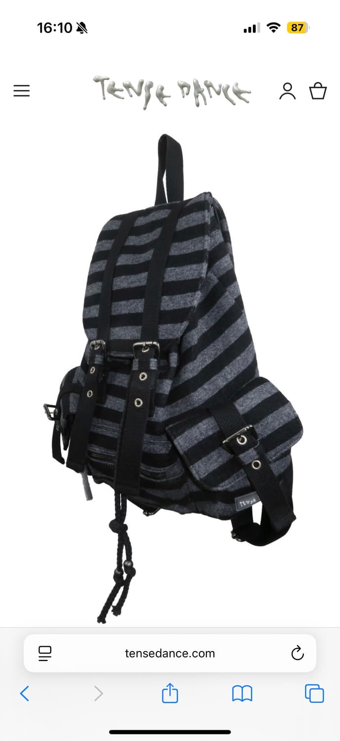 파히썸 구 텐스댄스 스트라이프백팩 상품이미지2