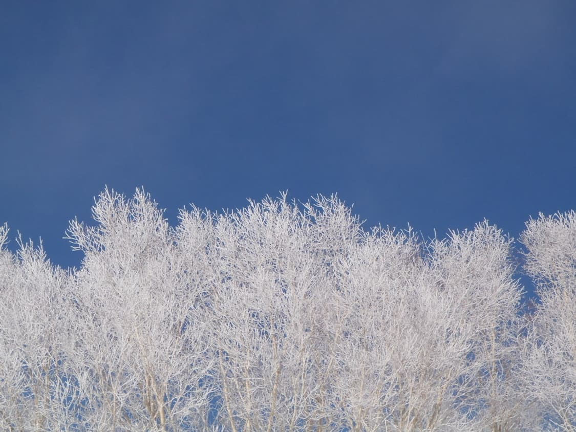 올림푸스 터프 Olympus Tough TG-310 화이트 상품이미지5