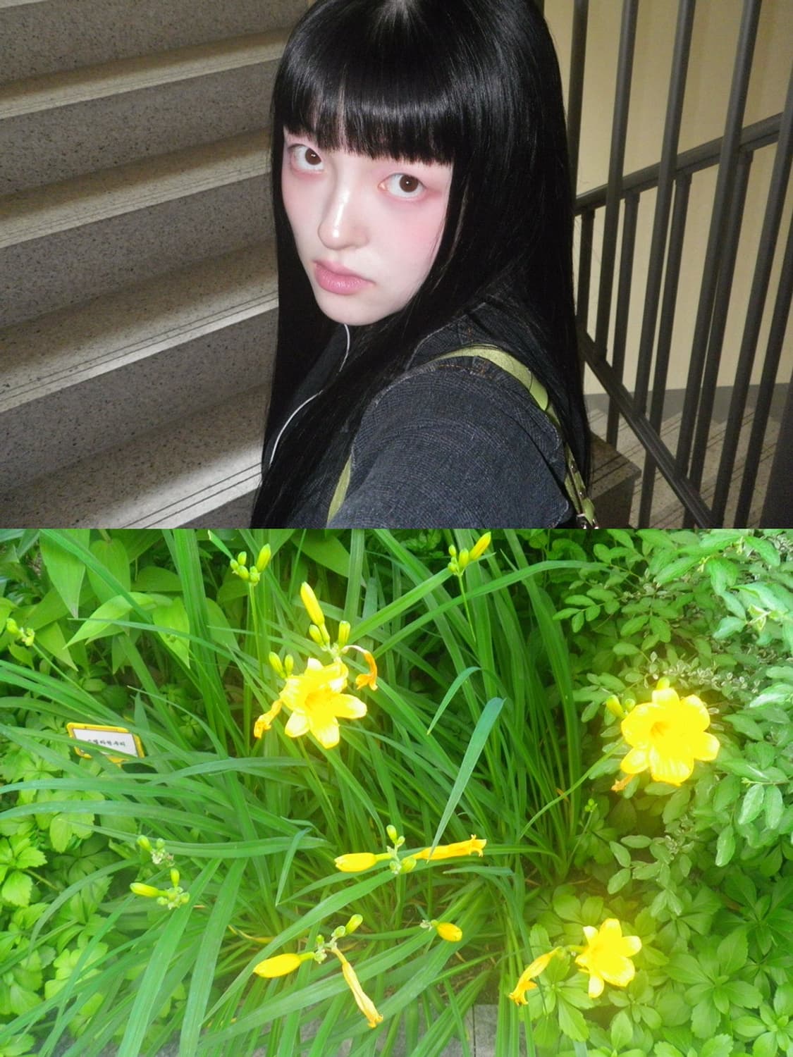 🦁 펜탁스 옵티오 WS80 🦁 빈티지 디카〰️주인장 최애 디카 상품이미지5