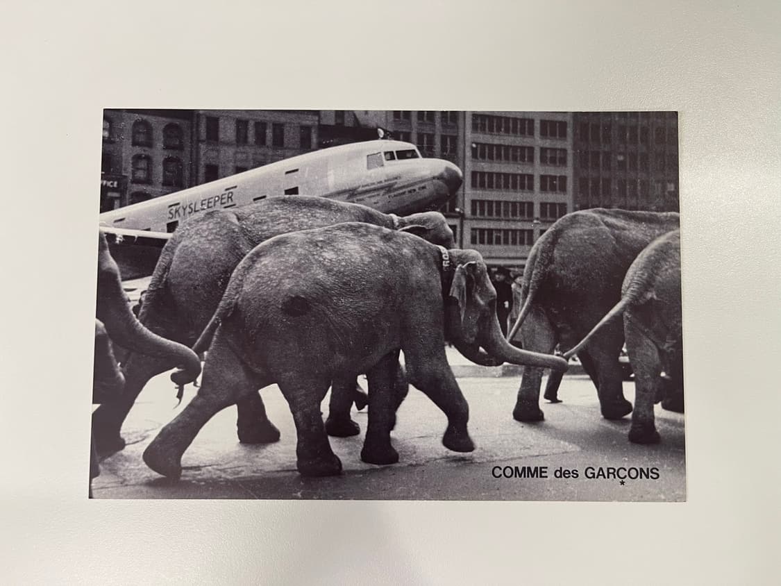 꼼데가르송 COMME des GARCONS 아트 포토 AD1988 상품이미지2