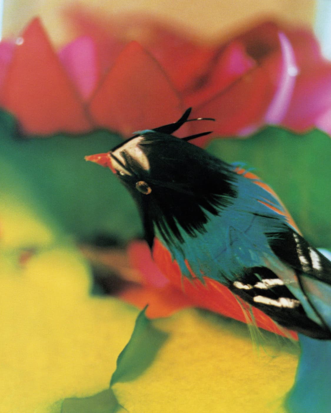 월간 엔도 쿠미코 (2003) 니나가와 미카 사진집 일본서적 희귀서적 상품이미지9