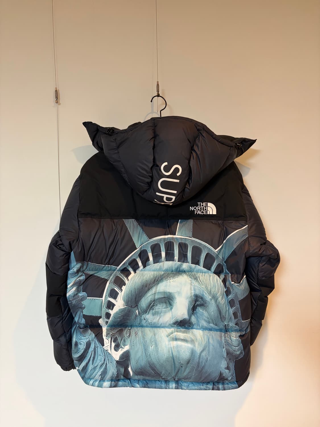 슈프림 노스페이스 자유의 여신상 발토로 패딩 상품이미지2