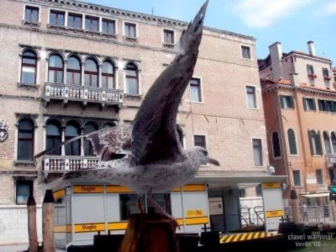 (뽀용뽀용) 산요작티 E6 빈티지 디카 상품이미지6