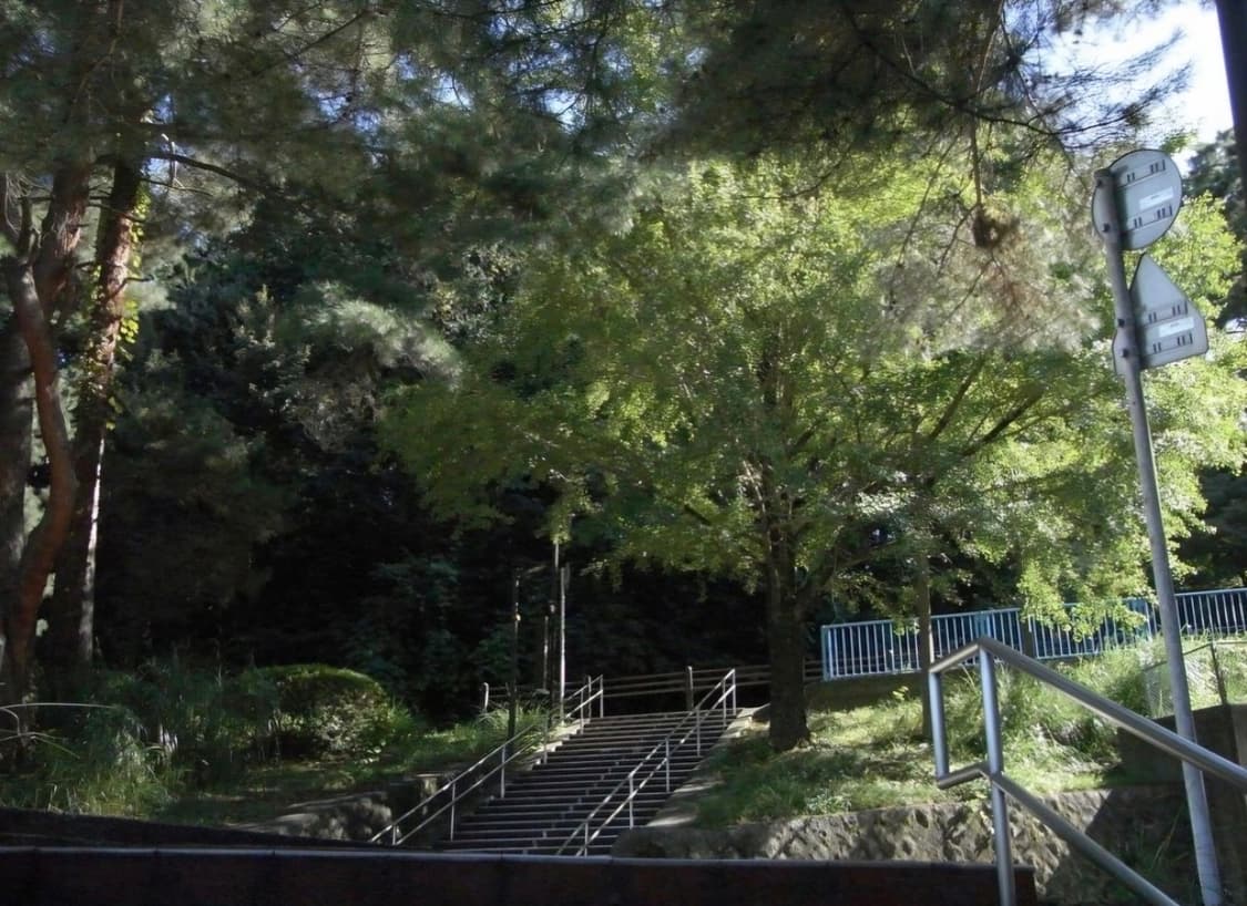 ✨ 리코 R10 블랙 🖤 클래식한 색감의 올인원 디카 ✨ 상품이미지8