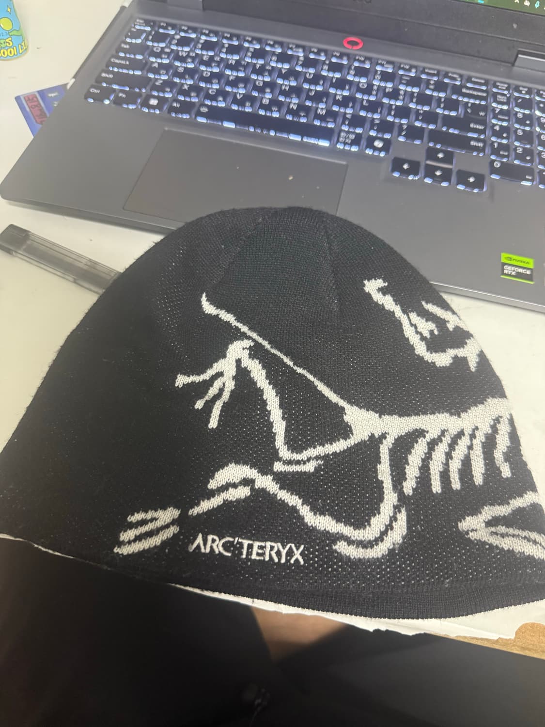 아크테릭스비니 상품이미지3