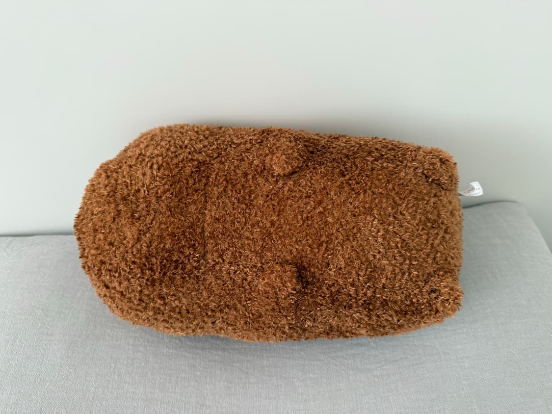 카피바라상 모훗토 30cm 인형 상품이미지5