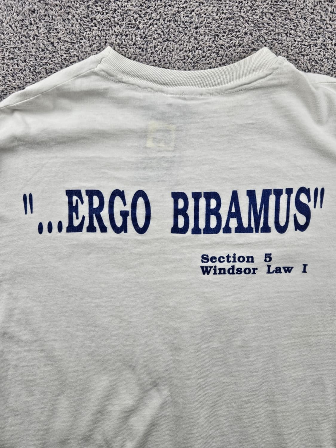 90's HANES 싱글스티치 윈저법대펍크롤 롱슬리브 (L)/ 11119 상품이미지10