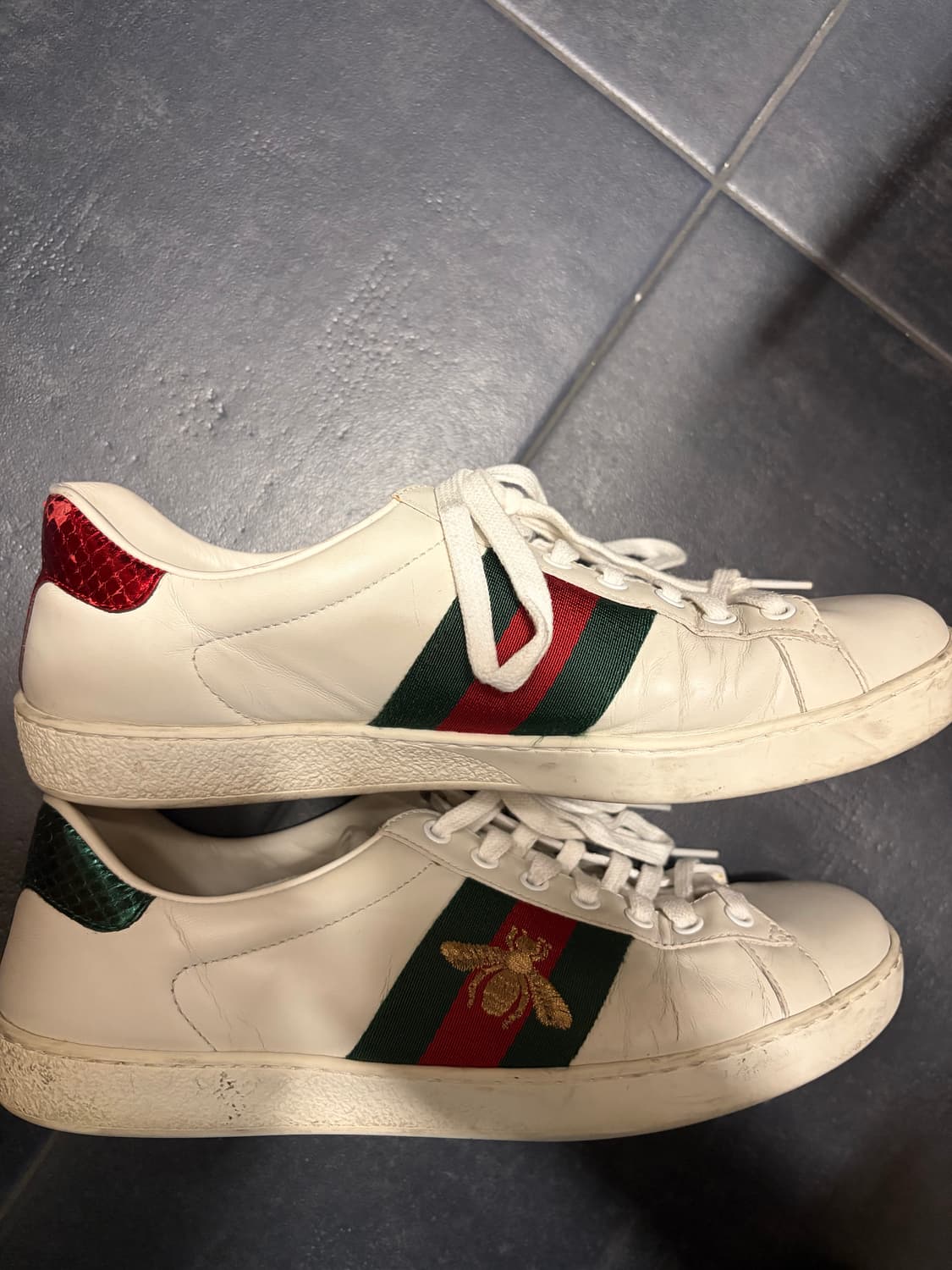 구찌 스니커즈 265 상품이미지3