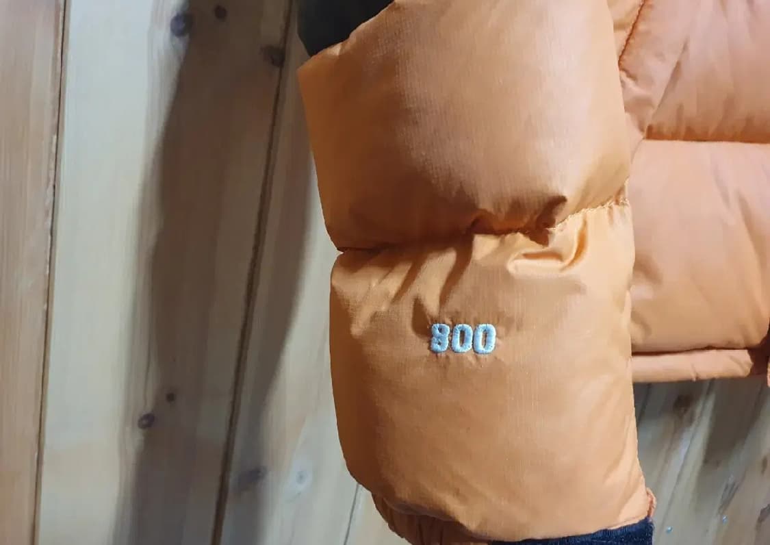 노스페이스 남성 90 95  화이트라벨 800 윈드스토퍼 구스다운 패딩 상품이미지4