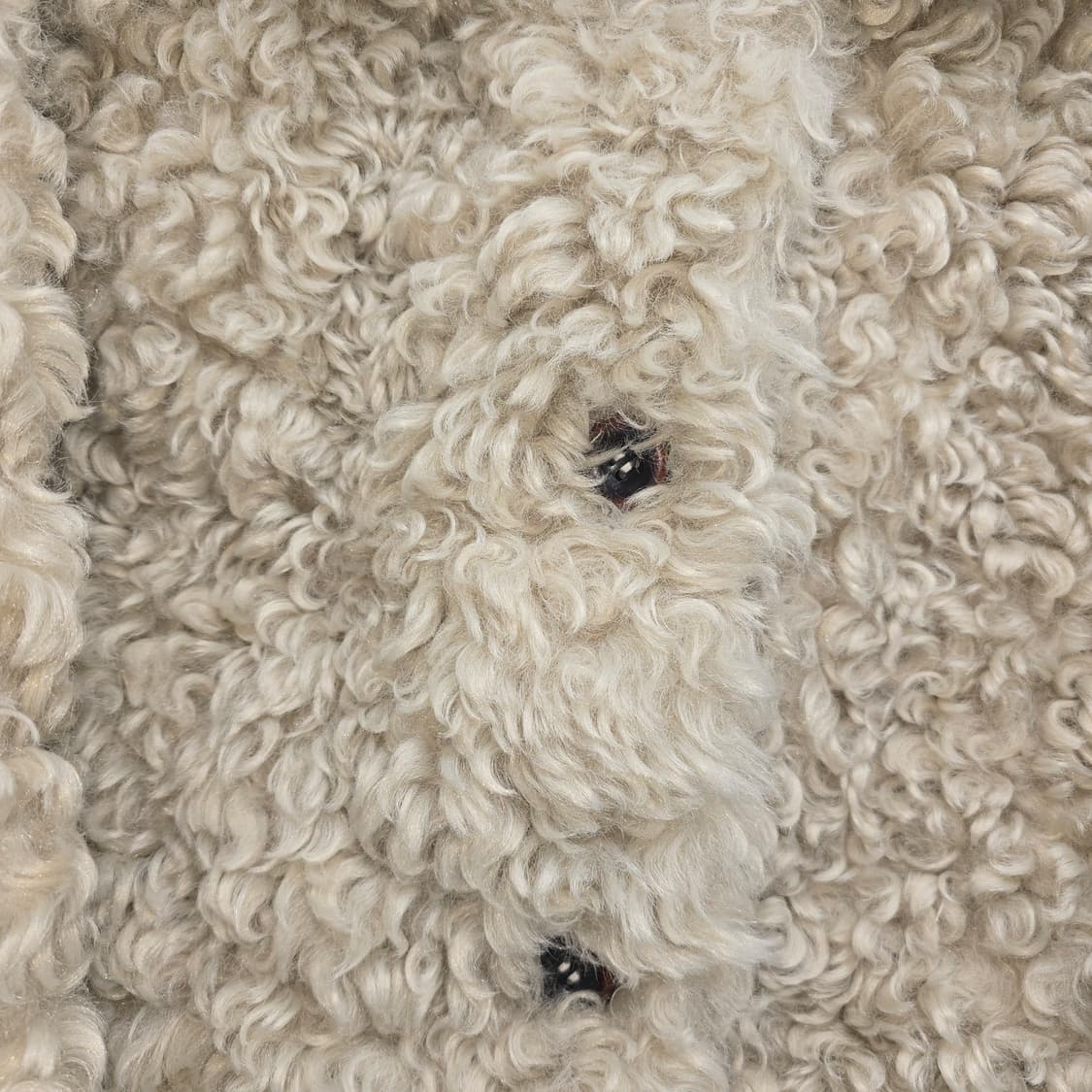 뽀글이 숏 자켓 아이보리 상품이미지8