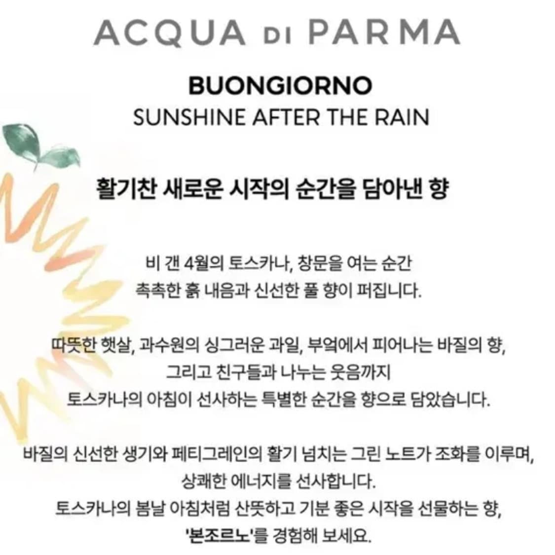 [정품] 아쿠아 디 파르마 본 조르노 오드퍼퓸 향수100ml(새제품) 상품이미지4