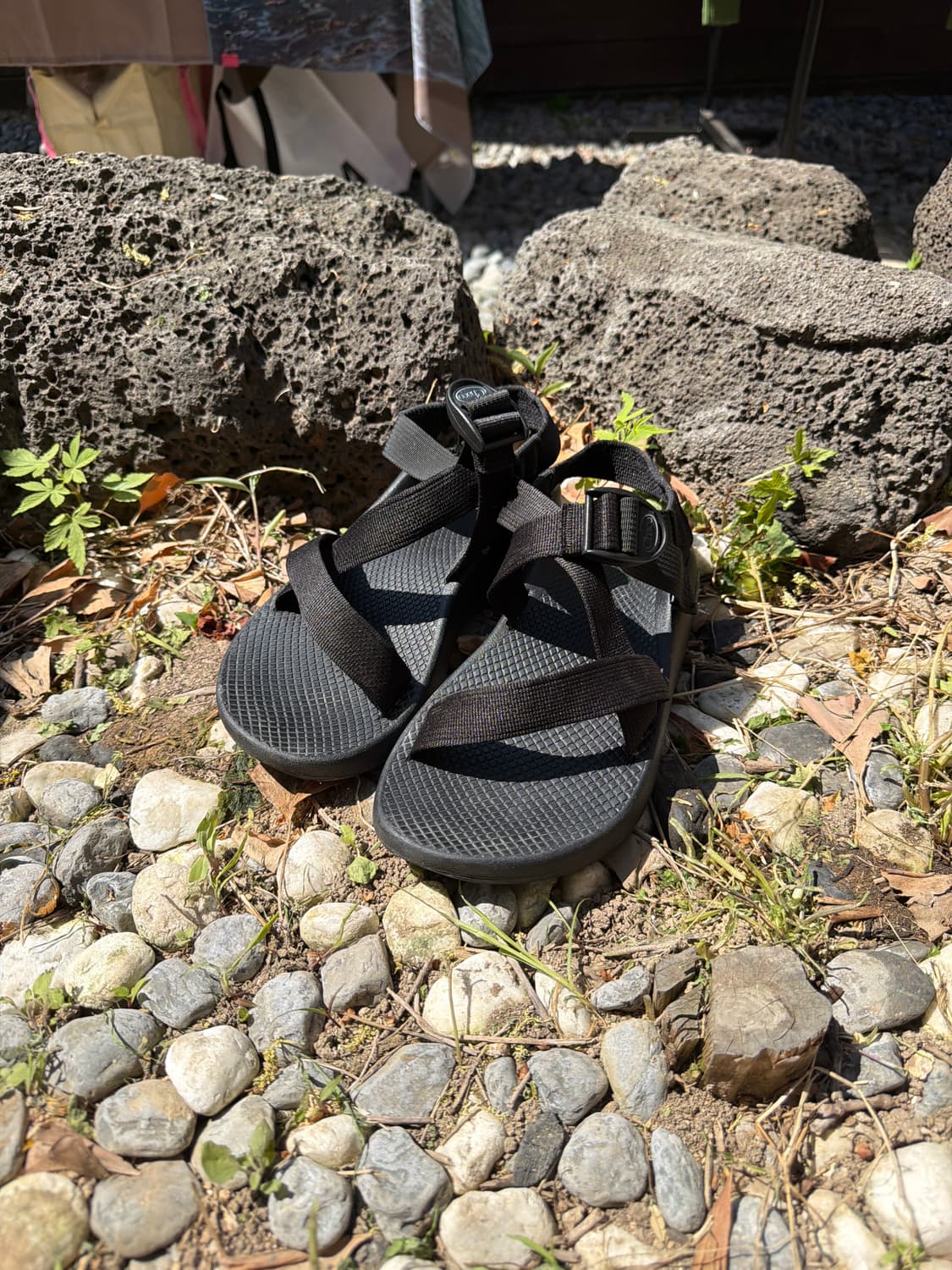 차코 z1 classic 상품이미지1