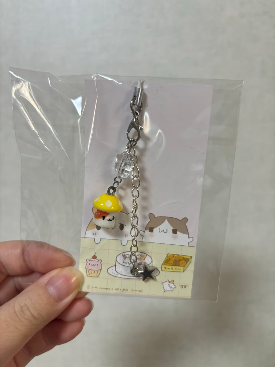 햄스터 햄태식 핸드메이드 키링 상품이미지1