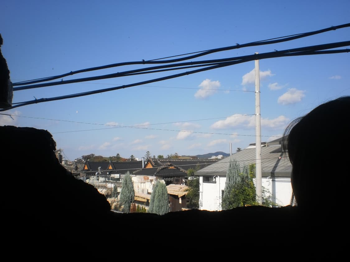 올림푸스 t-100 판매합니다 상품이미지10