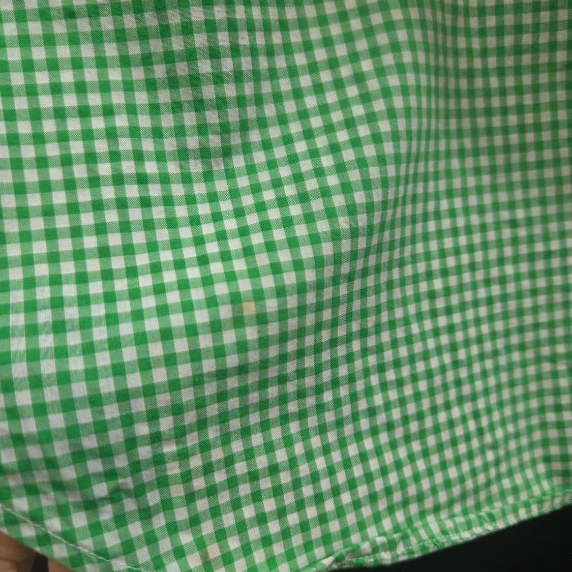 폴로 랄프로렌 여성 슬림핏 그린 깅엄체크 셔츠 상품이미지8