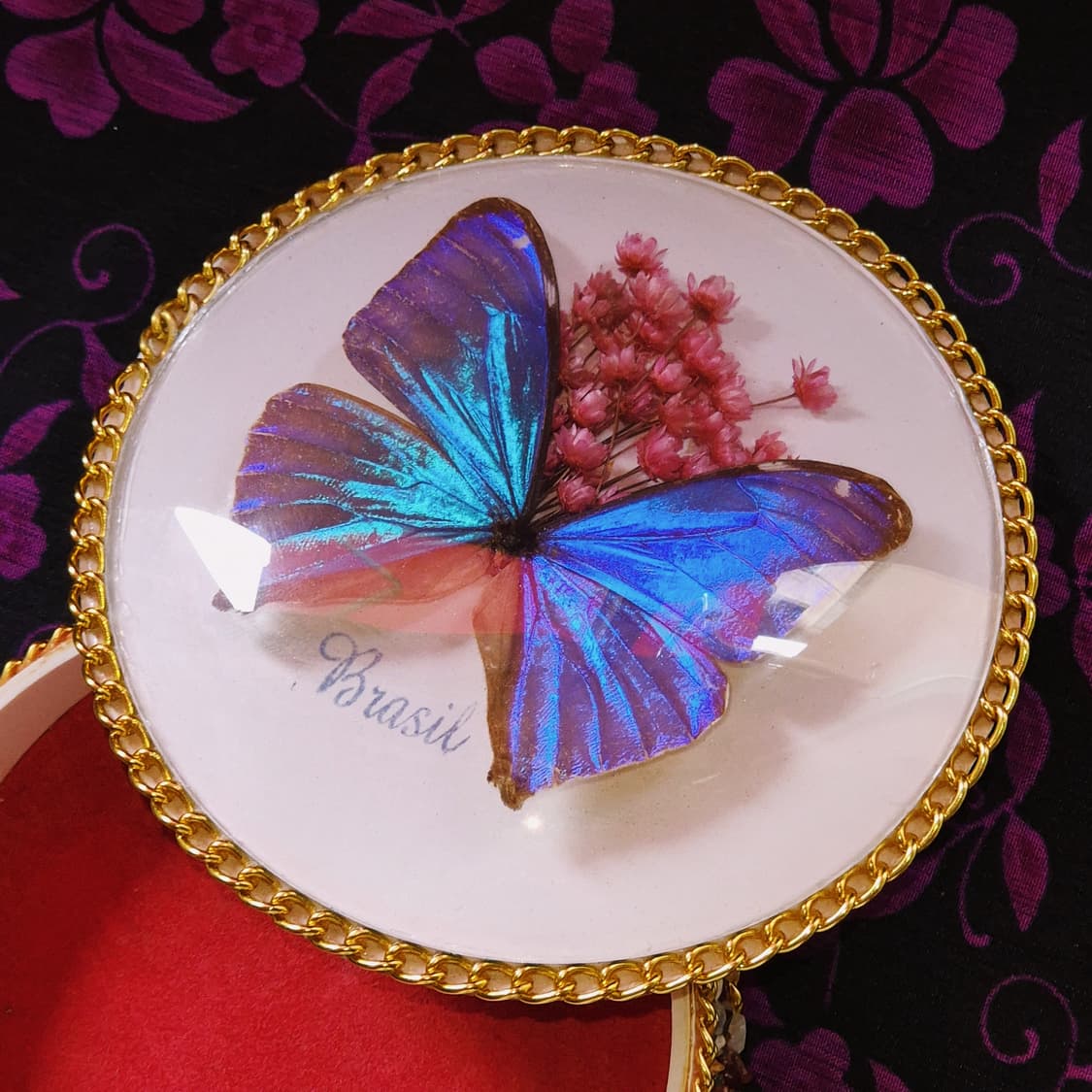 70s 브라질 모르포 빅 나비 천연석 트링켓 상품이미지6