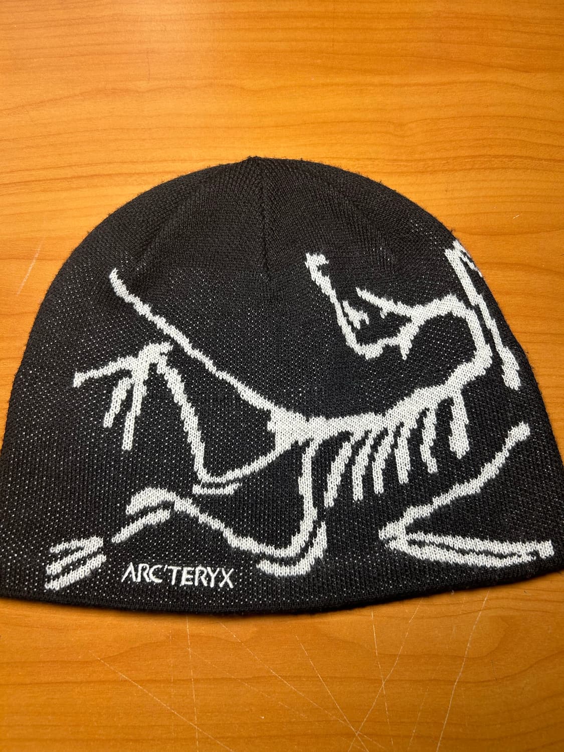 아크테릭스 버드 헤드 토크 오르카 비니 상품이미지1