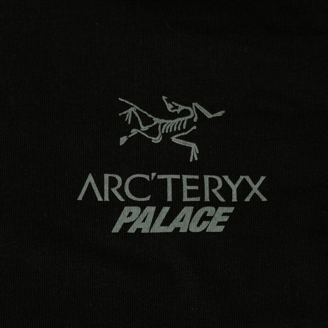 Palace x Arcteryx 로고 티셔츠 XL 상품이미지2