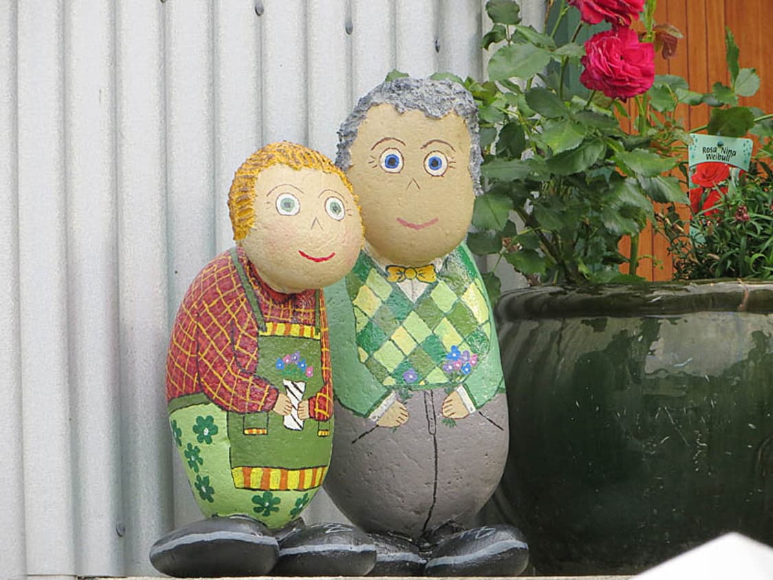 Rollei dr5 (롤라이 dr5) 상품이미지10