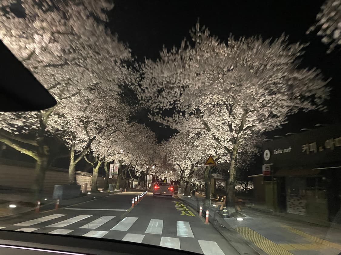 fodn xxx 님 개인결제 상품이미지1